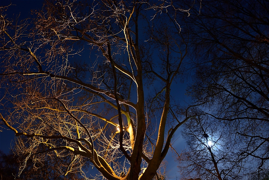 Berlin Neukölln Lichtkunst im Koernerpark