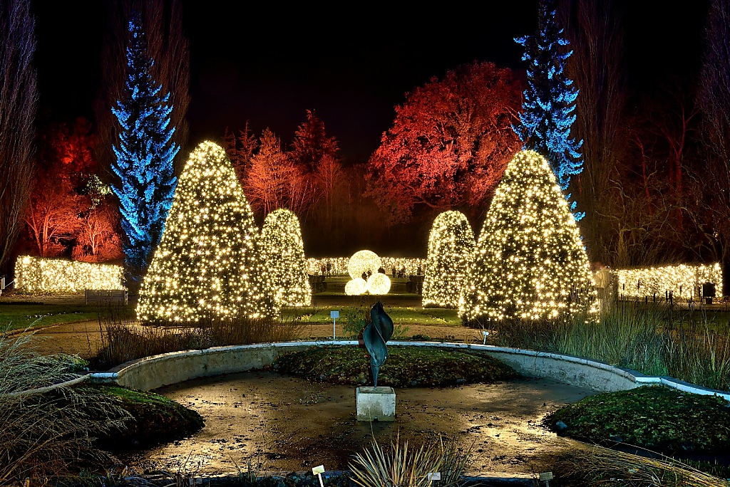 Steglitz Botanischer Garten Christmas Garden 2016