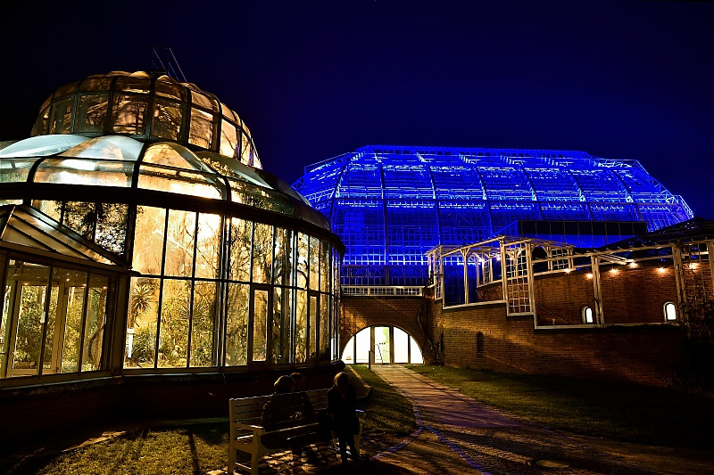 Steglitz Botanischer Garten Christmas Garden 2016