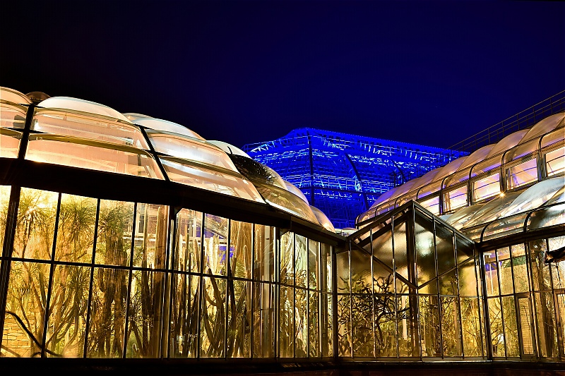 Steglitz Botanischer Garten Christmas Garden 2016