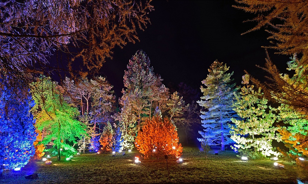 Steglitz Botanischer Garten Christmas Garden 2016