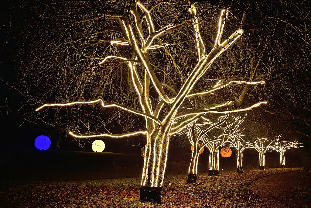 Steglitz Botanischer Garten Christmas Garden 2016