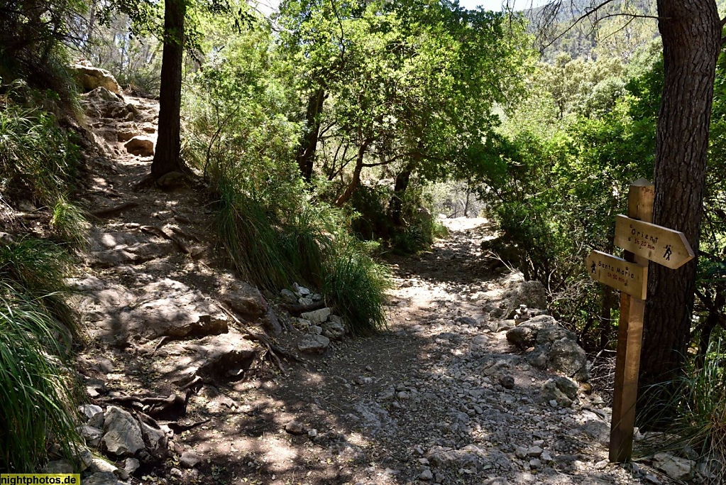 Mallorca Valle Coanegra Wegabzweigung zur Tropfsteinhöhle Avenc de Son Pou