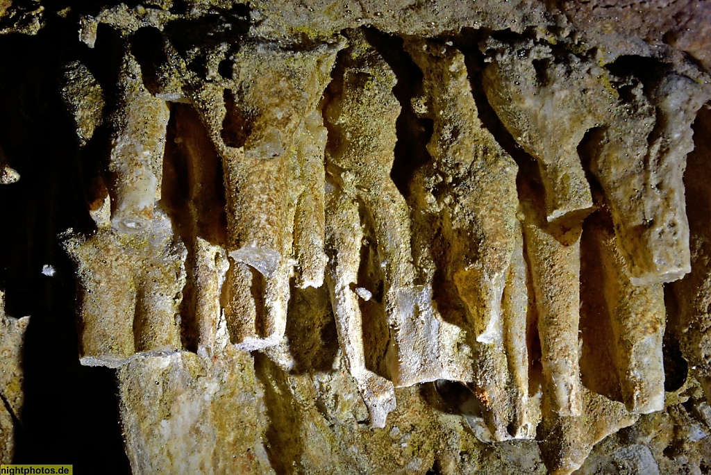 Mallorca Tropfsteinhöhle Avenc de Son Pou. Stalagtiten