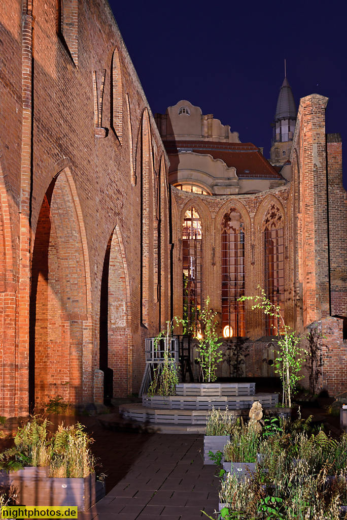 Berlin Mitte Ruine der Franziskaner-Klosterkirche erbaut ab 1250 im frühgotischen Stil als Bettelordenskirche für das Graue Kloster der Franziskaner