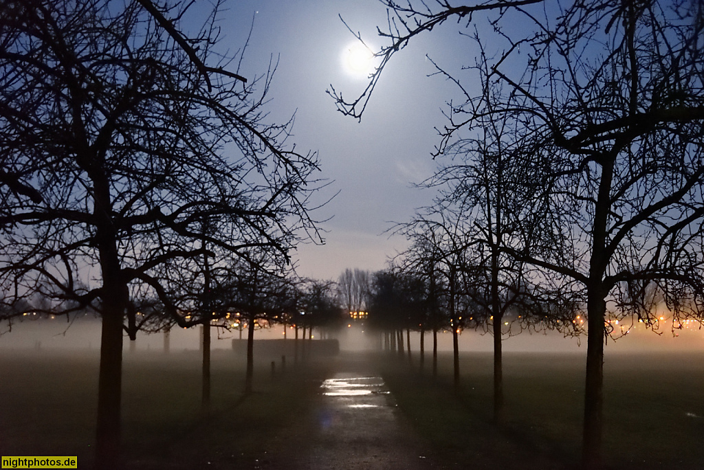 Berlin Biesdorf Wuhletal Bodennebel bei Mondschein