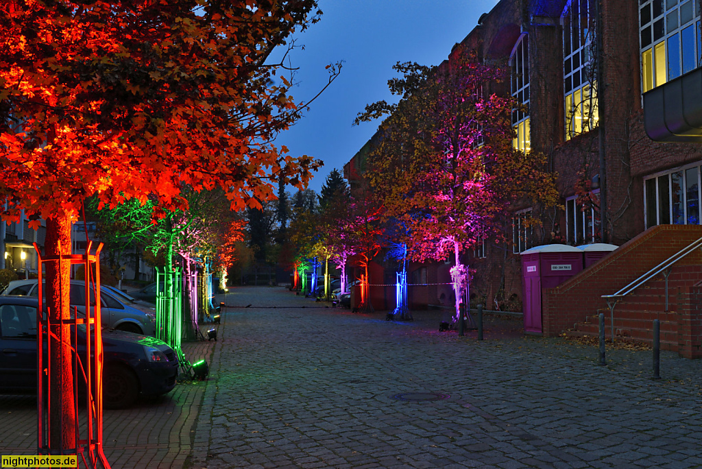 Berlin Lichterfelde Botanisches Museum Königin-Luise-Strasse mit Christmas Garden Illumination. Erbaut 1903-1905 von Architekt Timmermann. Herbarflügel von Rainer G Rümmler