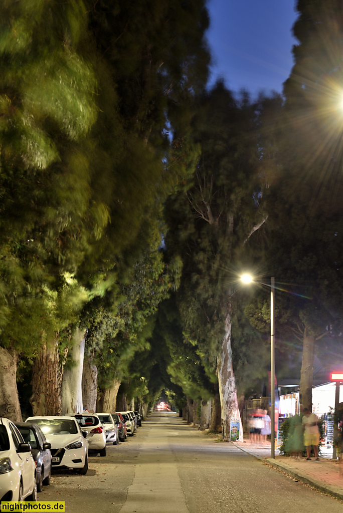 2023-06-09 19-20 Rhodos Kolymbia Eucalyptus Street. City Strassenszene